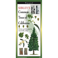 Cover of Sibley’s Trees of California Field Guide #LV3705 featuring ’Siy’s Com Tree of California