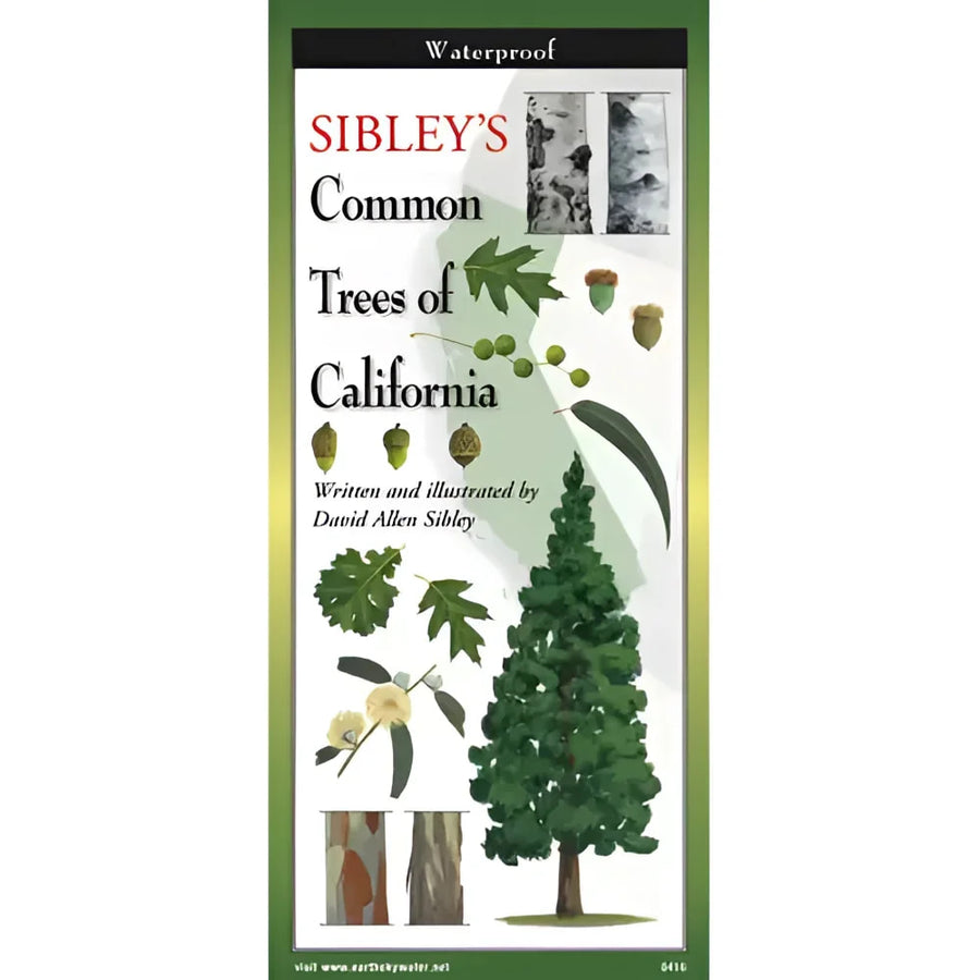 Cover of Sibley’s Trees of California Field Guide #LV3705 featuring ’Siy’s Com Tree of California