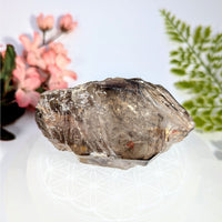 Smoky quartz 3.5’’ elestial enhydro crystal #BC0720 with inclusions