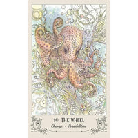 Illustration from Spiritsong Tarot Deck by Paulina Fae featuring an octopus and seaweed
