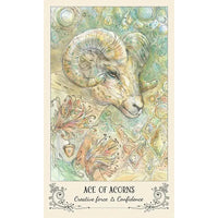 A drawing of a goat with a large horn from the Spiritsong Tarot Deck by Paulina Fae #Q373