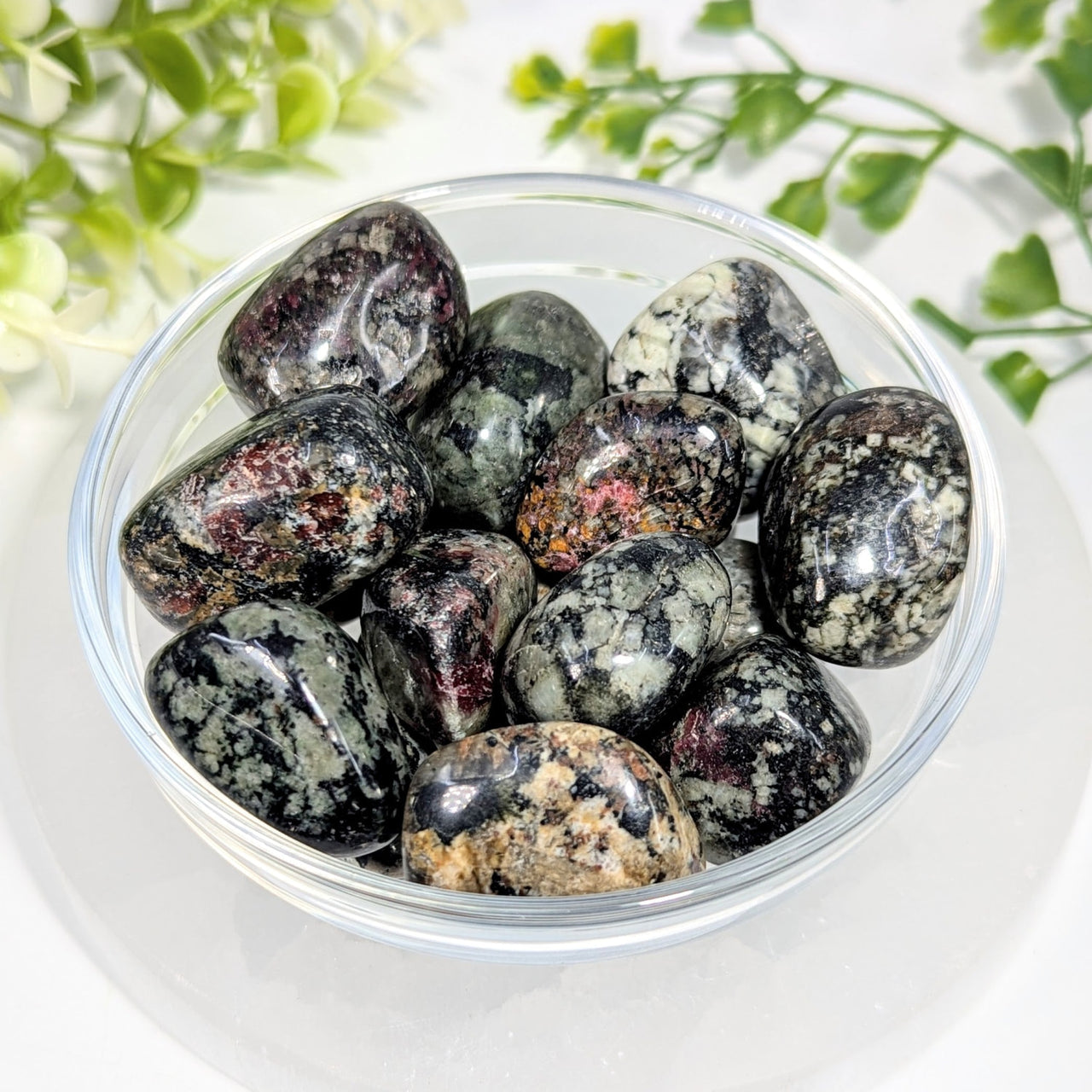 Polished black and white speckled svetyalite tumbled stones with red hints in a clear glass bowl 0.9 to 1.4 inches