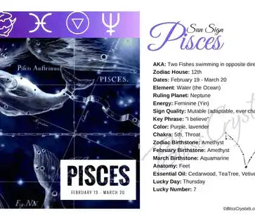 Two fish swimming in opposite directions, connected by a flowing line, representing the zodiac sign Pisces.