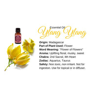 Ylang Ylang Essential Oil for Skin - Info Card #Q077 with Usage and Benefits