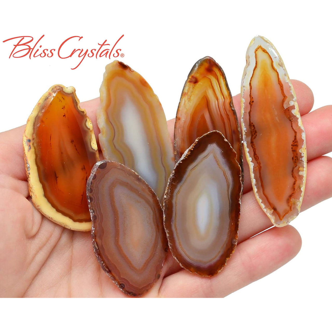 1 Large Fancy GOLD AGATE Slab Slice Polished Crystal - Stand