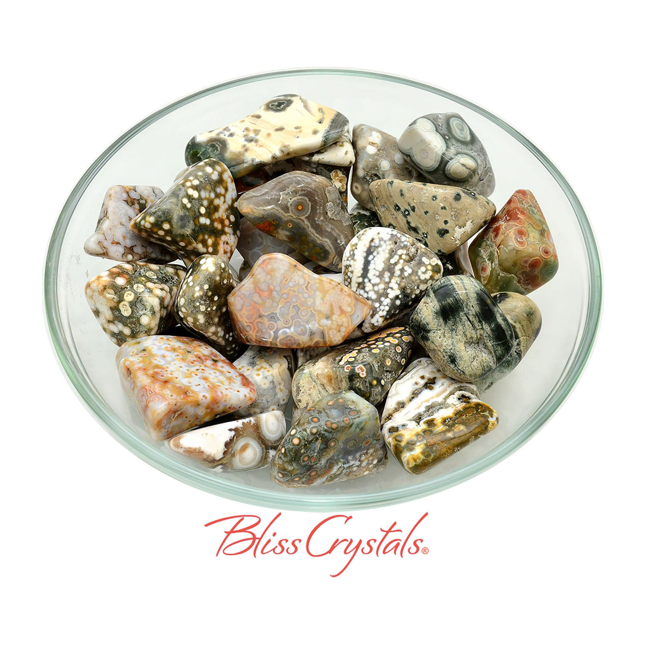 2 OCEAN JASPER Tumbled Stone aka Sea Stone Select Size 