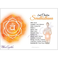 7 Chakra Information Card Set Double sided All 7 Chakra 