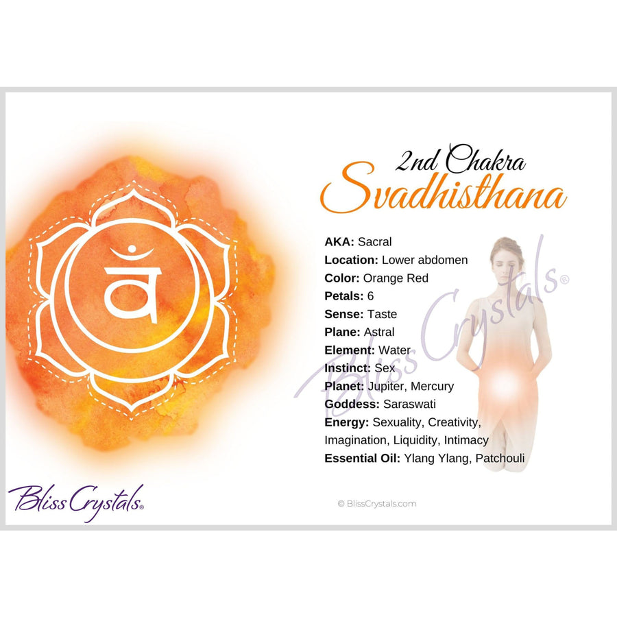 7 Chakra Information Card Set Double sided All 7 Chakra 