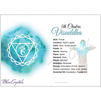 7 Chakra Information Card Set Double sided All 7 Chakra 
