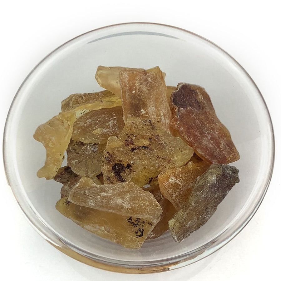 Rough Copal Amber #SK1006b