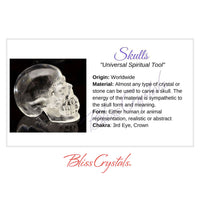 SKULLS Crystal Information Card Double sided #HC111